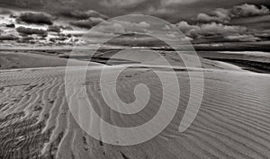 Sand Dunes, Lencois B&W