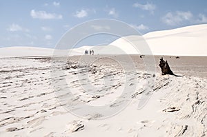 Sand dunes of the Lencois Maranheses in Brazil