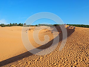 Sand dunes