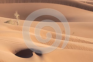 Sand dunes in lut desert