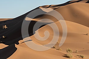 Sand dunes in lut desert