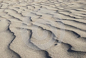 Sand dunes of the Maspalomas desert, Gran Canaria, Spain.