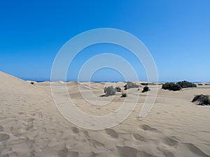 Sand dunes at Maspalomas, Gran Canaria