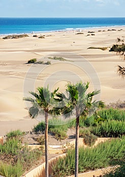 Sand dunes of Maspalomas. Gran Canaria. Canary Islands