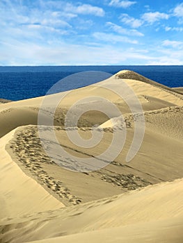 The Sand dunes Maspalomas of Gran Canaria, Canary Islands