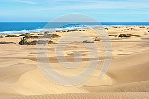 Sand dunes of Maspalomas. Gran Canaria. Canary Islands, Spain