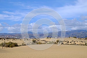 Sand dunes in Maspalomas and natural reserve La Charca on Gran Canaria, Spain. photo