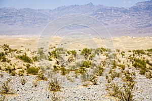 Sand Dunes of Mesquite Flats desert, Death Valley