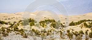 Sand Dunes of Mesquite Flats desert, Death Valley