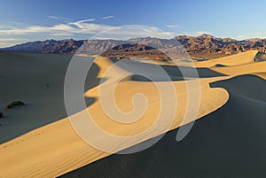 Sand dunes in Mojave Desert