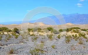 Sand Dunes And Mountains At Death Valley National Park, California