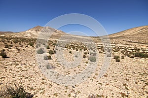 Sand dunes and mountains near Sotavento beach on Jandia peninsul