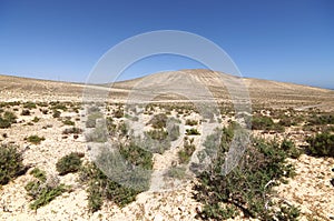 Sand dunes and mountains near Sotavento beach on Jandia peninsul