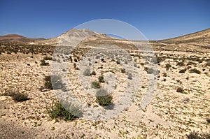 Sand dunes and mountains near Sotavento beach on Jandia peninsul