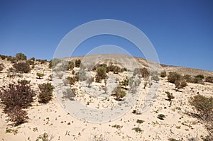 Sand dunes and mountains near Sotavento beach on Jandia peninsul