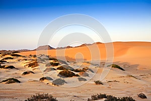 Sand dunes, mountains and scrub at sunset