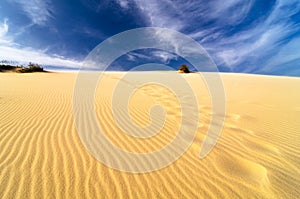 Sand dunes at mui ne, vietnam