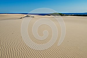 Sand dunes in Myall Lakes