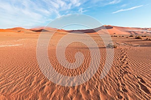 Sand dunes in the Namib desert at dawn, roadtrip in the wonderful Namib Naukluft National Park, travel destination in Namibia, Afr