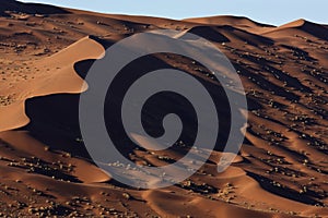 Sand dunes in the Namib Desert in Namibia