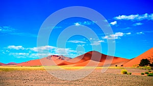 Landscape Sand dunes Namib-Naukluft national park , Namibia