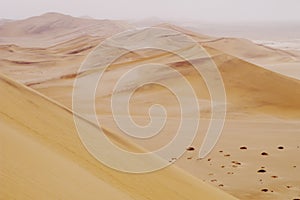 Sand dunes in Namibian desert