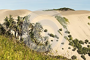 Sand Dunes National Park