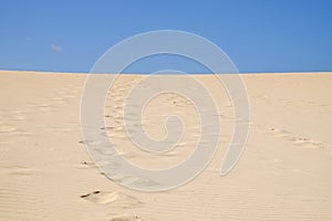 Sand Dunes in National Park Corralejo, Fuerteventura