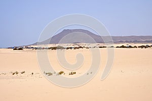 Sand Dunes in National Park Corralejo, Fuerteventura