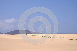 Sand Dunes in National Park Corralejo, Fuerteventura