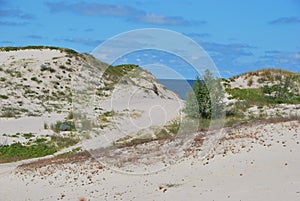 Sand dunes near the Baltic sea