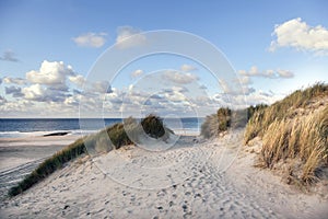 Sand and dunes near beach of vlieland in the netherlands with bl