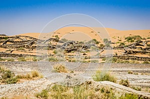 Sand dunes near Erfoud in Morocco with inhibitors of palm leaves using for eliminating sand moves