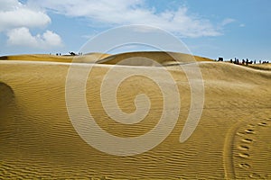 Sand dunes near Jaisalmer, Rajasthan, India