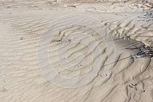 The sand dunes near the Mediterranean Sea