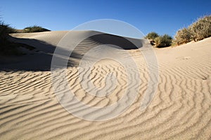 Sand Dunes near Ningaloo