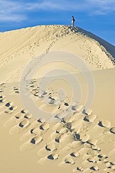 Sand dunes near Stovepipe Wells, Death Valley