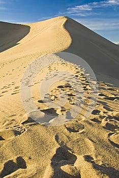 Sand dunes near Stovepipe Wells, Death Valley