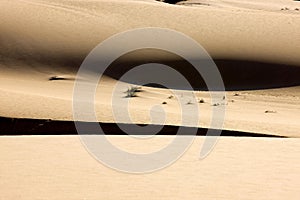 Sand Dunes near Walvis Bay, Desert in Namibia