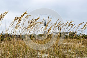 Sand Dunes on North Beach With Historic Tybee Island Light Station,