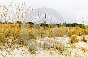 Sand Dunes on North Beach With Historic Tybee Island Light Station