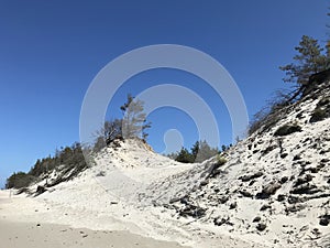 Sand dunes in northern Poland, Czolpino beach