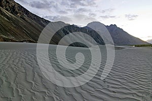 Sand dunes in Nubra Valley, india photo