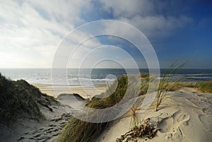 Sand dunes and ocean