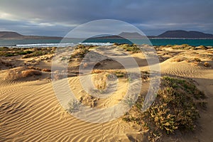 Sand dunes and ocean on sunset in unique volcanic island Lanzarote