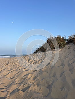 Sand Dunes and Ocean Under the Moon