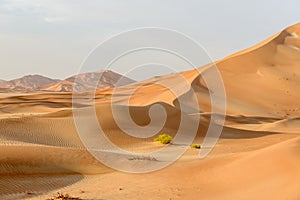 Arena dunas en Omán desierto (Omán) 