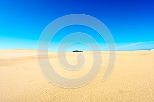 Sand Dunes, Oregon Beach, West Coast Nature and Landscape