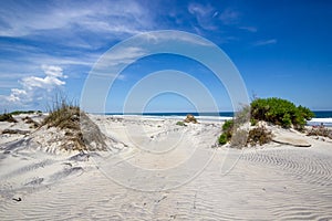 Sand Dunes at Outer Banks