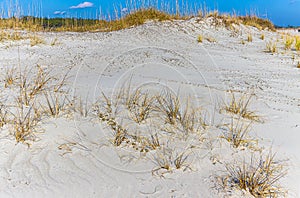 Sand Dunes On Pawley\'s Island Beach